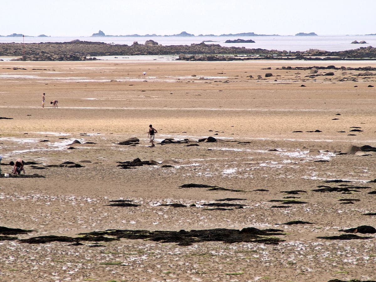 Pêcheurs à pied sur l'estran à marée basse